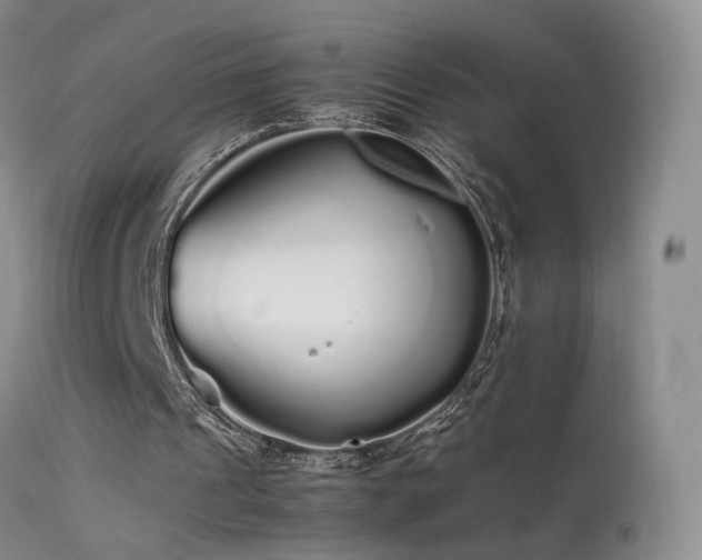 X0000113620241200909251212