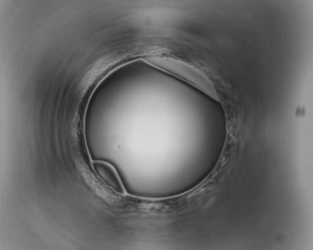 X0000113620242200909251212