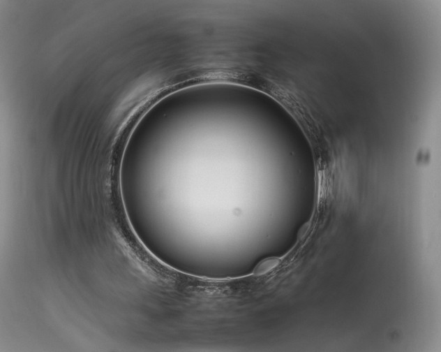 X0000113620243200909251212