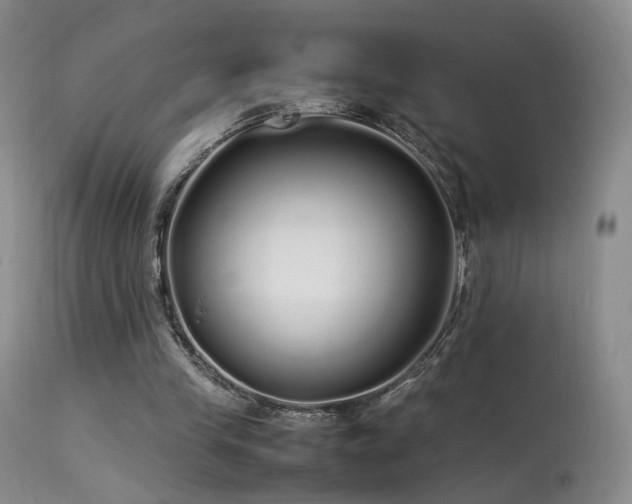 X0000113620245200909251212