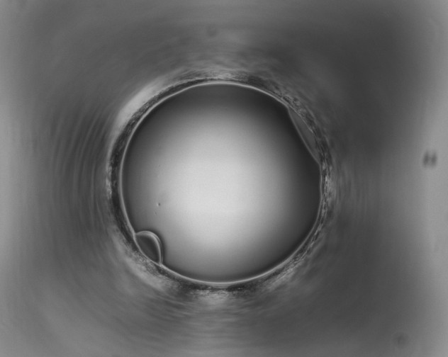 X0000113620246200909251212