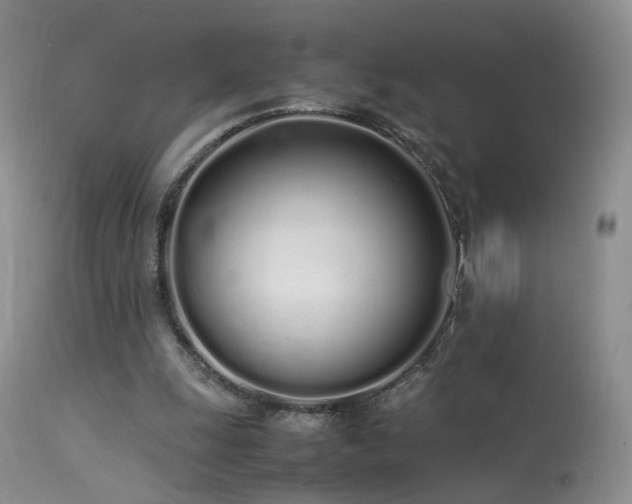 X0000113620247200909251212