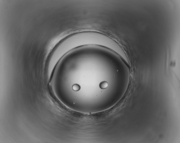 X0000113620248200909251212