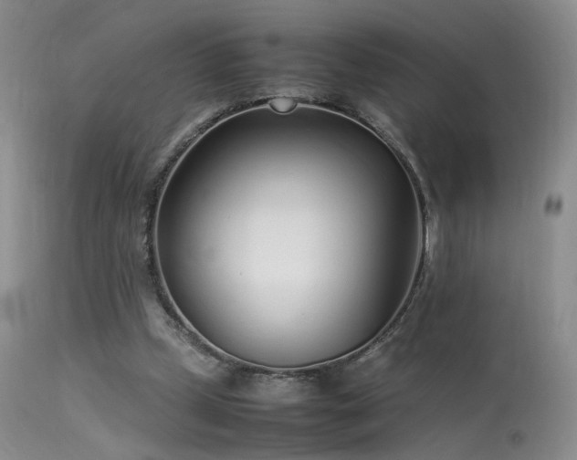 X0000113620249200909251212