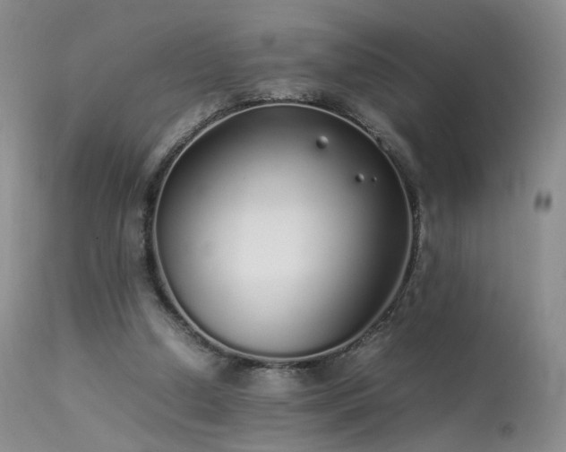 X0000113620250200909251213