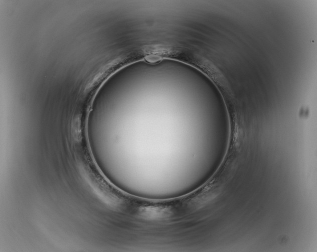 X0000113620251200909251213