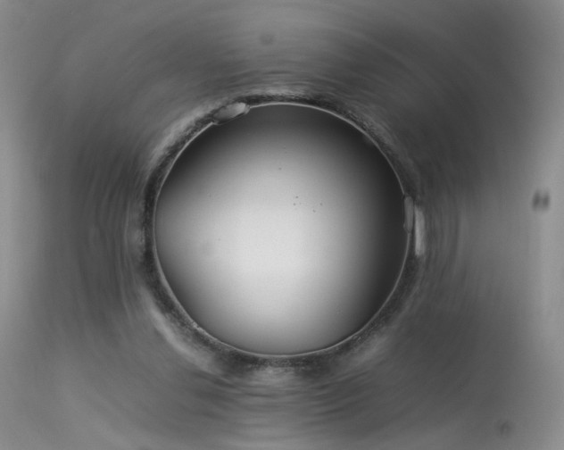 X0000113620252200909251213