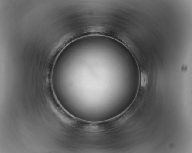 X0000113620253200909251213