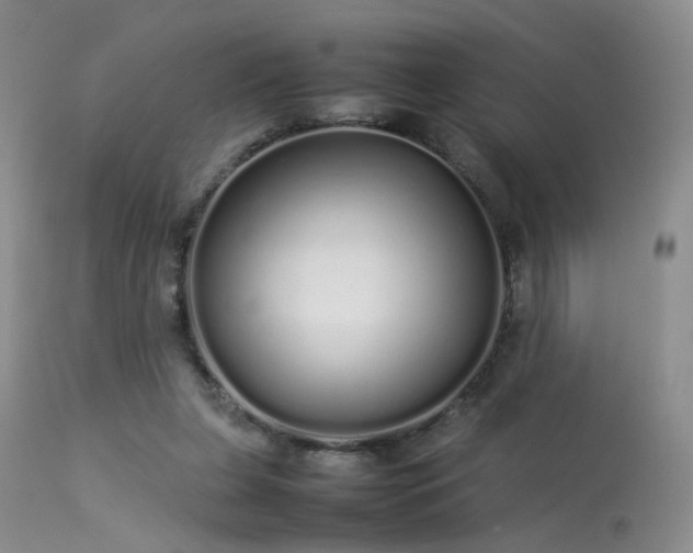 X0000113620255200909251213