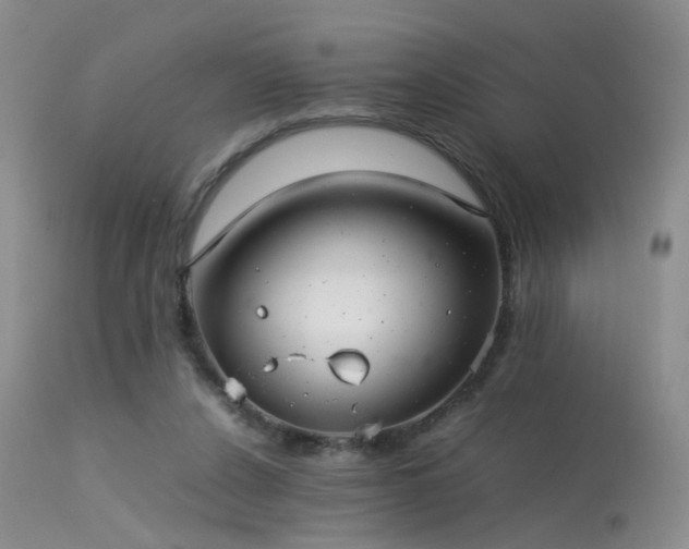 X0000113620256200909251213