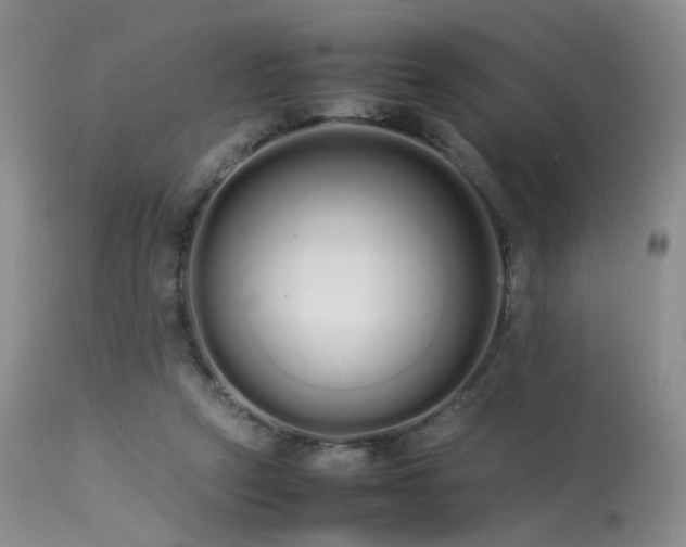 X0000113620257200909251213