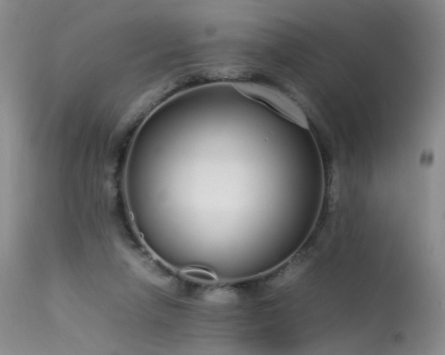 X0000113620258200909251213