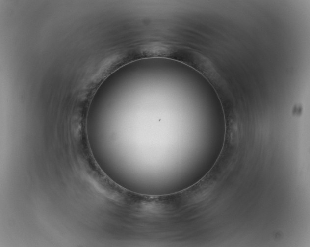 X0000113620259200909251213