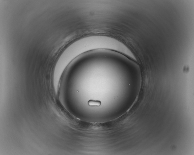 X0000113620260200909251213