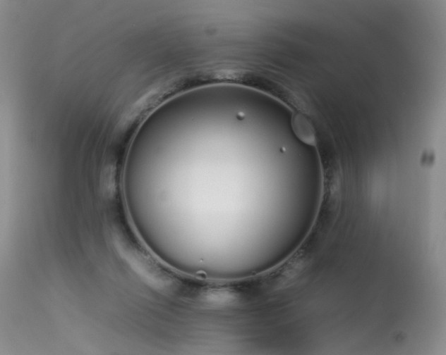 X0000113620262200909251213