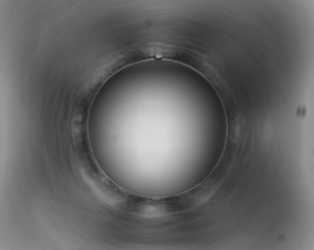 X0000113620263200909251213