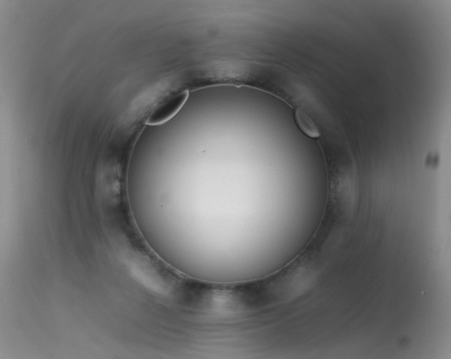 X0000113620264200909251213