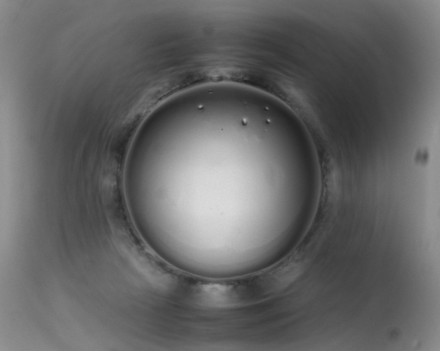 X0000113620265200909251213