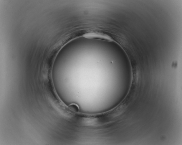 X0000113620266200909251213