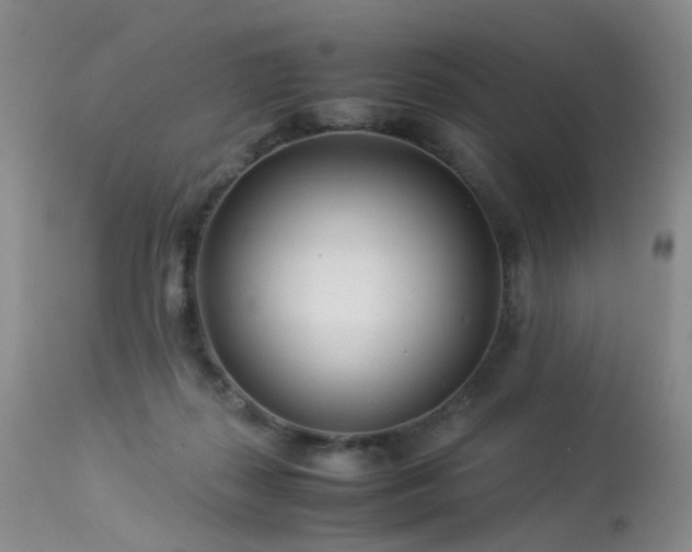 X0000113620267200909251213