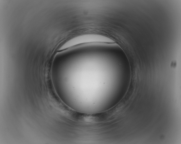 X0000113620268200909251213