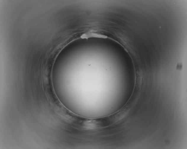 X0000113620269200909251213