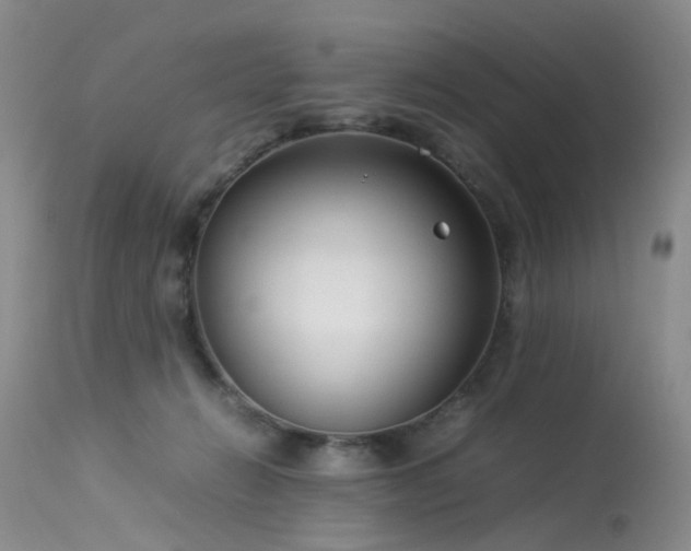 X0000113620270200909251213