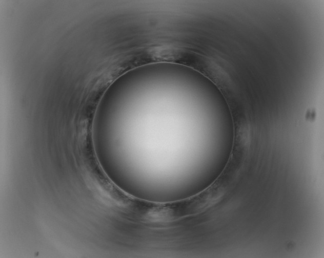 X0000113620271200909251213