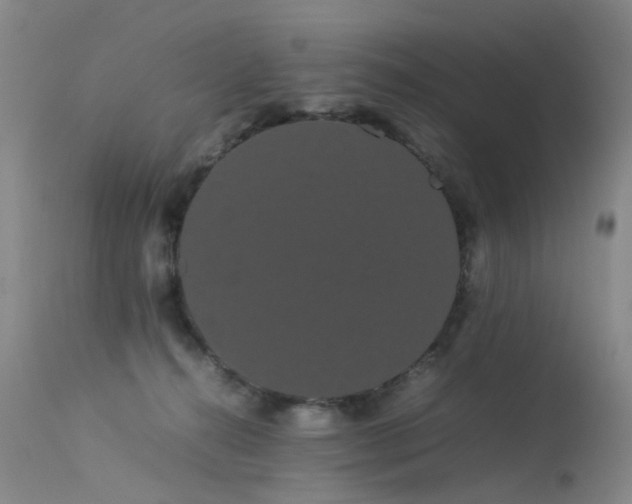 X0000113620272200909251213