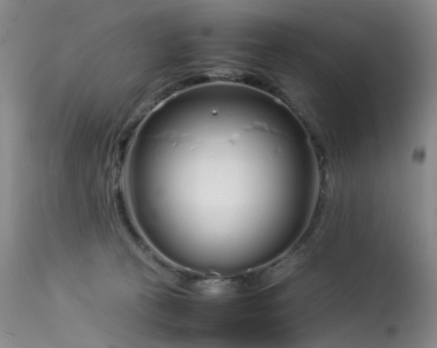 X0000113620273200909251213