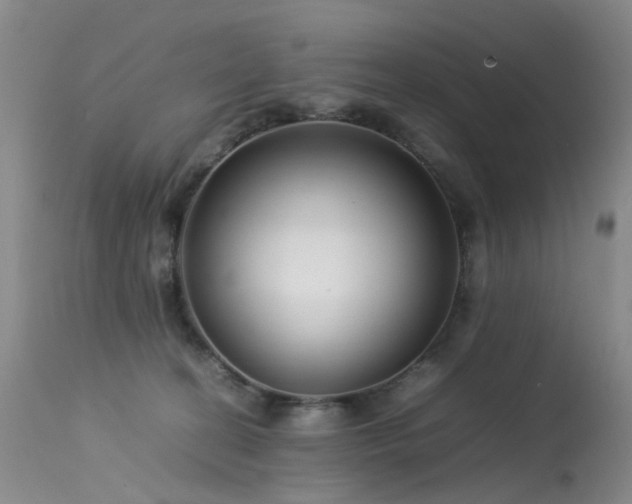 X0000113620274200909251213