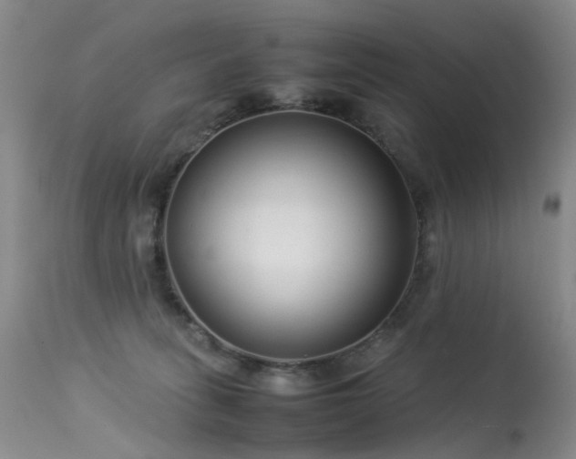 X0000113620275200909251213