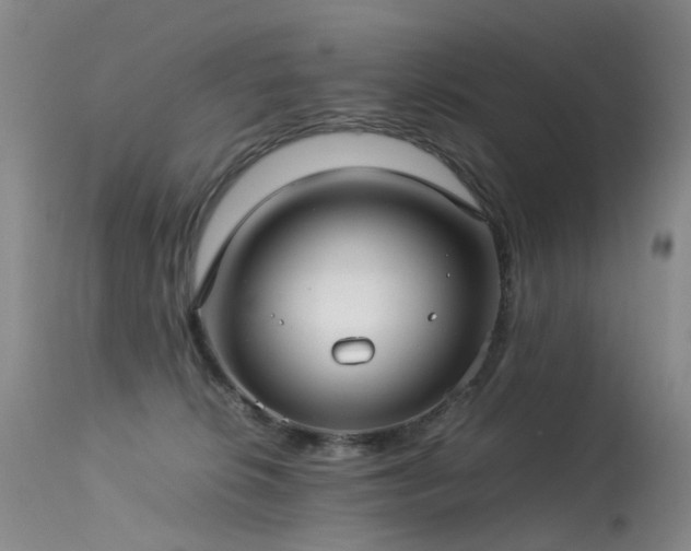 X0000113620276200909251213