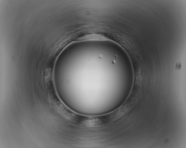 X0000113620278200909251213