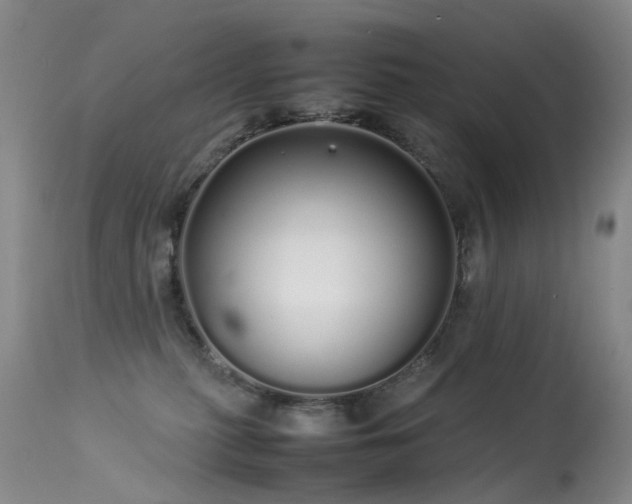 X0000113620279200909251213