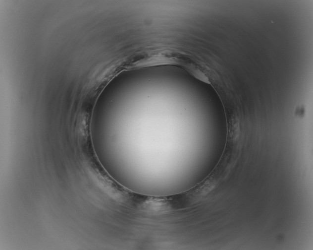 X0000113620280200909251213