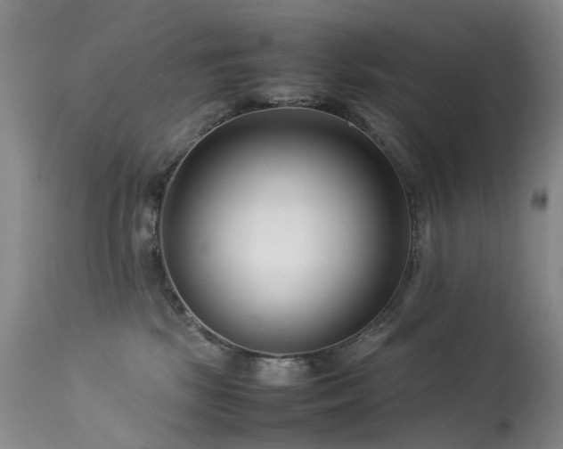 X0000113620281200909251213