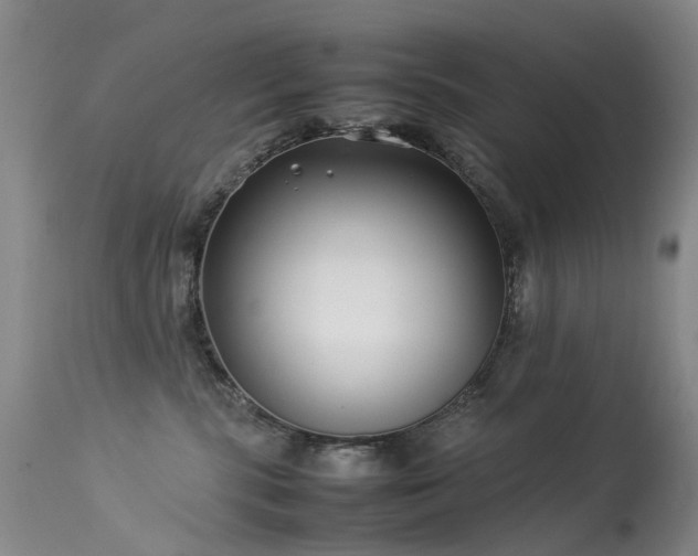 X0000113620283200909251213