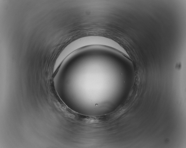 X0000113620284200909251213