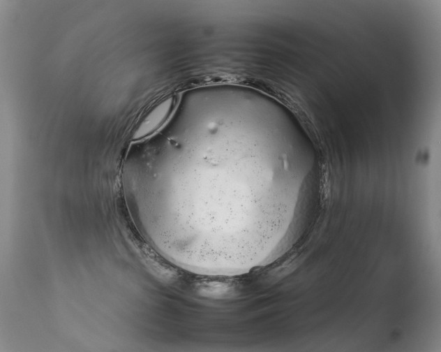 X0000113620285200909251213