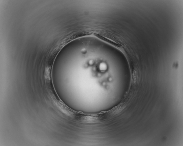 X0000113620286200909251213