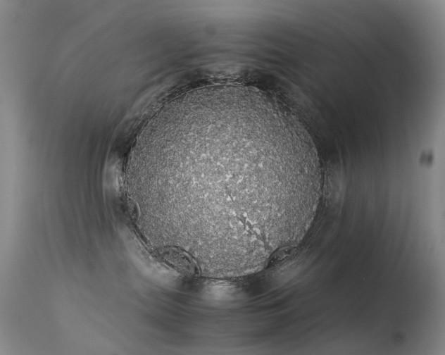 X0000113620287200909251213