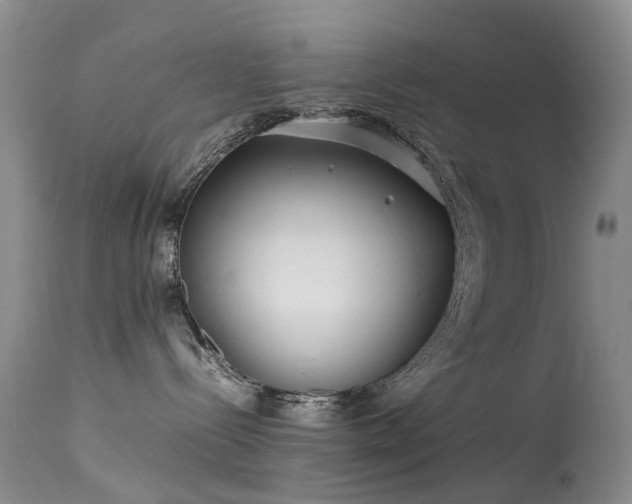 X0000113620288200909251213