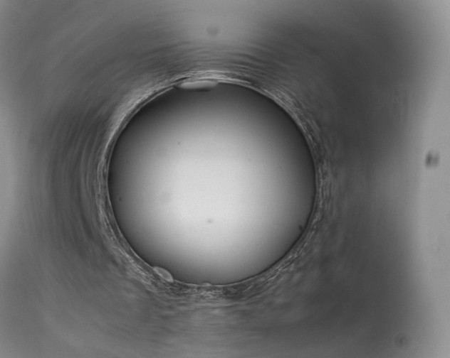 X0000113620289200909251212