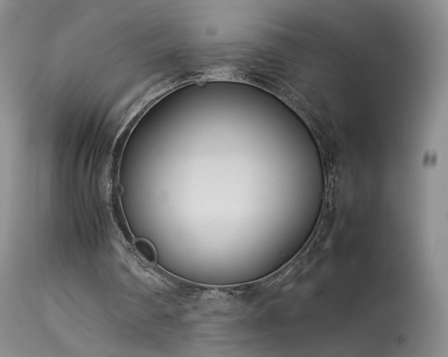 X0000113620290200909251212