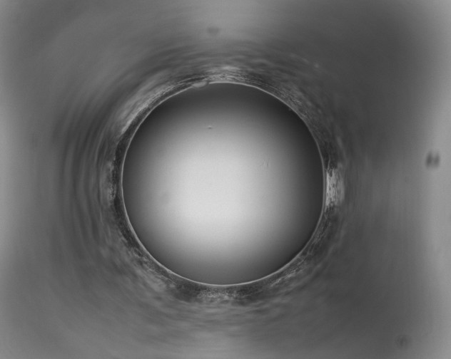 X0000113620291200909251212