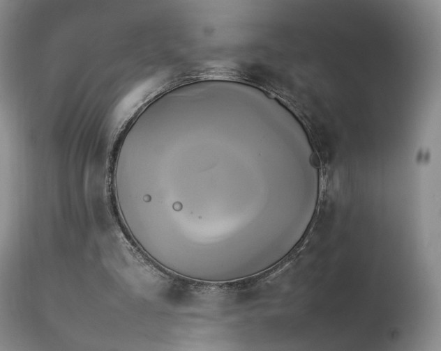 X0000113620293200909251212