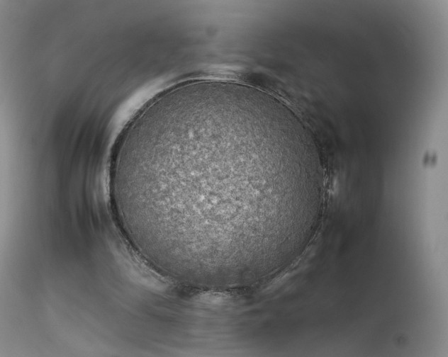 X0000113620294200909251212