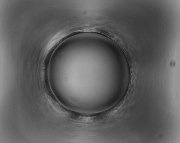 X0000113620295200909251212