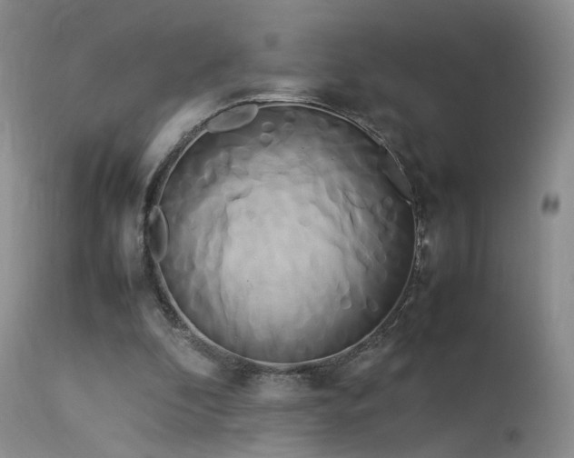 X0000113620296200909251212